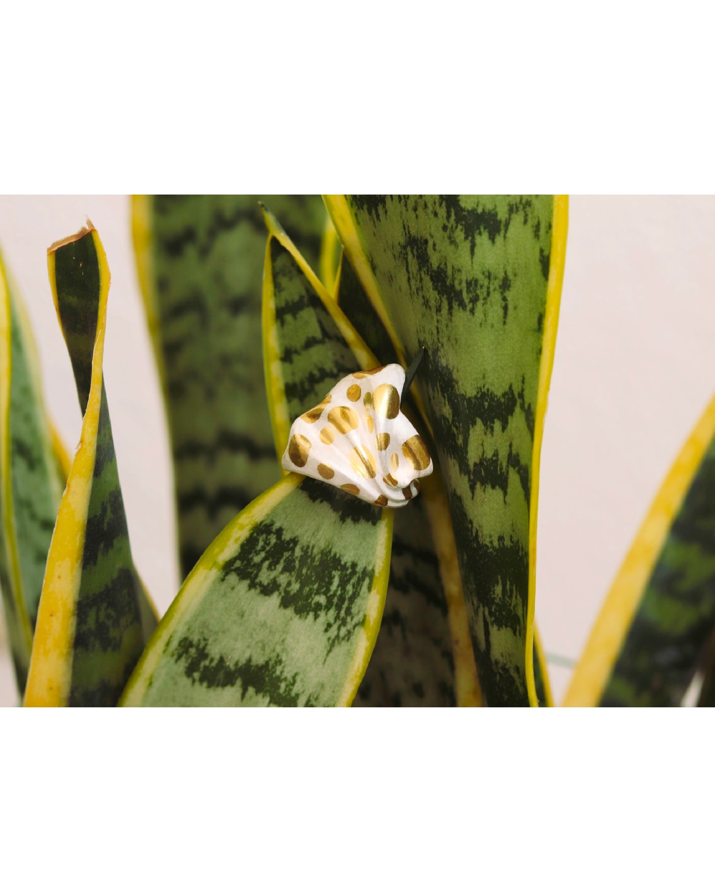 "Gossamer Whispers" Ring